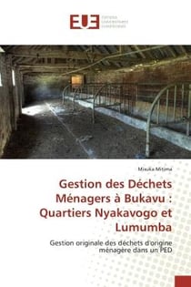 Gestion des Déchets Ménagers à Bukavu : Quartiers Nyakavogo et Lumumba : Gestion originale des déchets d'origine ménagère dans un PED
