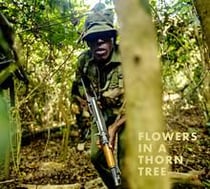 Steven thackston: flowers in a thorn tree