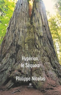 Hypérion, le séquoia