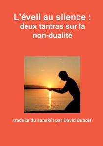 L'éveil au silence : deux tantras sur la non-dualité