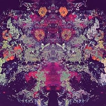10000