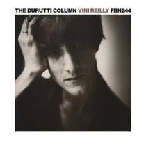 Vini reilly - Womad live