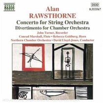 Concerto Pour Orchestre A Cordes