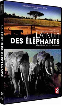 La Nuit des éléphants