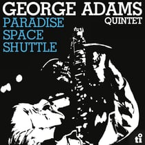 Paradise Space Shuttle