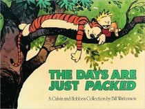 Calvin and hobbes - the days are just packed