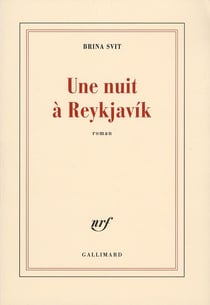 Une nuit à Reykjavík