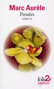 pensées: Livres I-Vi