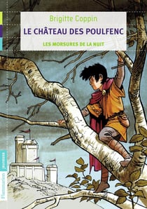 Le château des Poulfenc Tome 1 - les morsures de la nuit