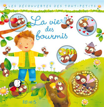 La vie des fourmis