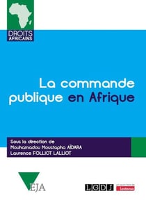 La commande publique en Afrique