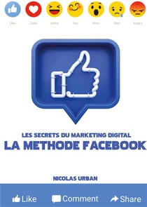 Les secrets du marketing digital "la méthode facebook"