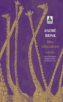 Mes bifurcations - mémoires