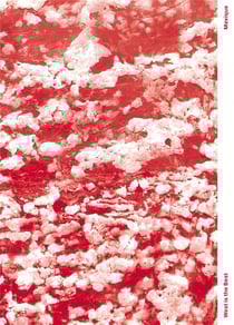 West is the best 3 - spécial Mexique