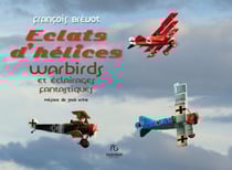 Les avions des deux guerres mondiales