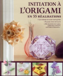 Initiation A L Origami En 55 réalisations