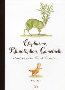 Eléphasme, rhinolophon, cameluche et autres merveilles de la nature