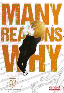 Many reasons why Tome 3