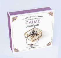 Le pouvoir des pierres : Le kit bracelet - Calme, Améthyste