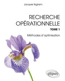 Recherche Opérationnelle - Tome 1 : Programmation linéaire. Optimisation combinatoire. Programmation dynamique. Graphes. Métaheuristiques