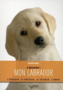 À découvrir mon labrador