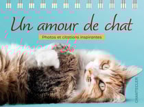 Un amour de chat : Photos et citations inspirantes