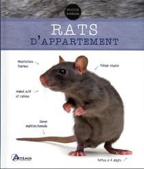 Rats d'appartement