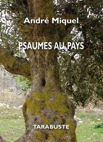 Psaumes au pays - andre miquel