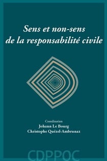 Sens et non-sens de la responsabilité civile