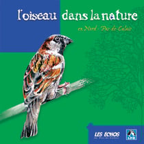 L?oiseau dans la nature