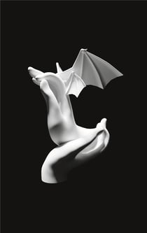 Mudras vampires : Traité du vide apatride