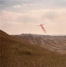 Skinless Takes A Flight - édition colorée 180g