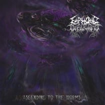 Ascending to the worms