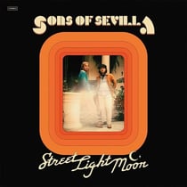 Street Light Moon