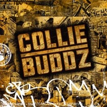 Collie buddz