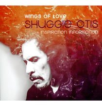 Inspiration information - wings of love