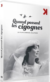 Quand passent les cigognes