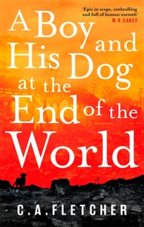 A boy and his dog at the end of the world
