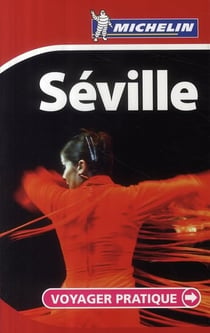 Voyager pratique - séville 2009