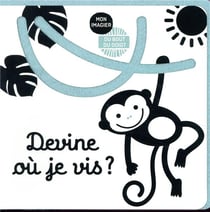 Devine où je vis ?