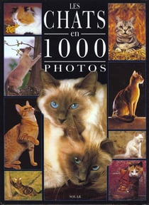Les chats en 1000 photos