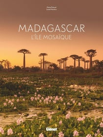 Madagascar - l'île mosaïque