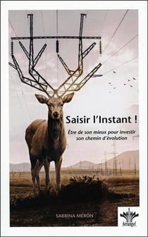 Saisir l'instant ! être de son mieux pour investir son chemin d'évolution