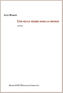 Une seule pierre dans la fronde