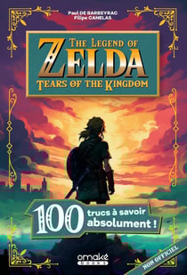 The Legend of Zelda : Tears of the kingdom : 100 trucs à savoir absolument !