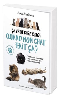 Ça veut dire quoi quand mon chat fait ça ?