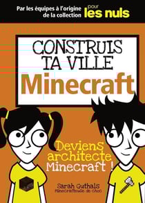 Construis ta ville Minecraft pout les nuls