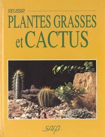Reussir plantes grasses et cactus