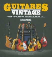 Tout L'Univers Des Guitares Vintages