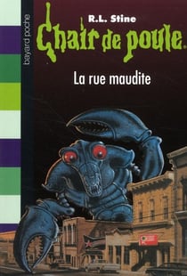 Chair de poule t.28 - rue maudite